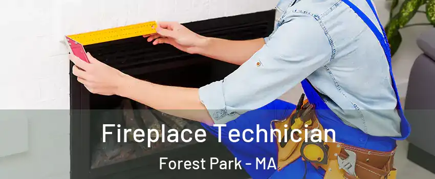 Fireplace Technician Forest Park - MA