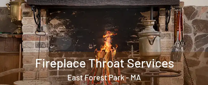 Fireplace Throat Services East Forest Park - MA