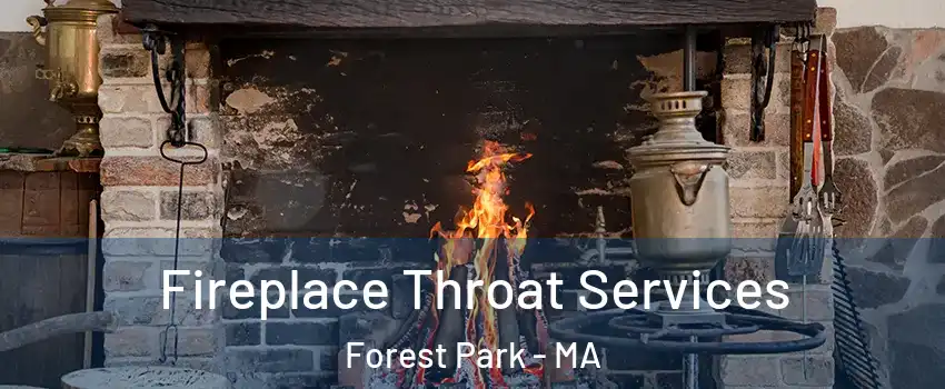 Fireplace Throat Services Forest Park - MA
