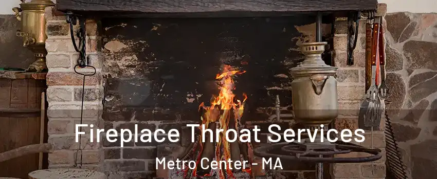 Fireplace Throat Services Metro Center - MA