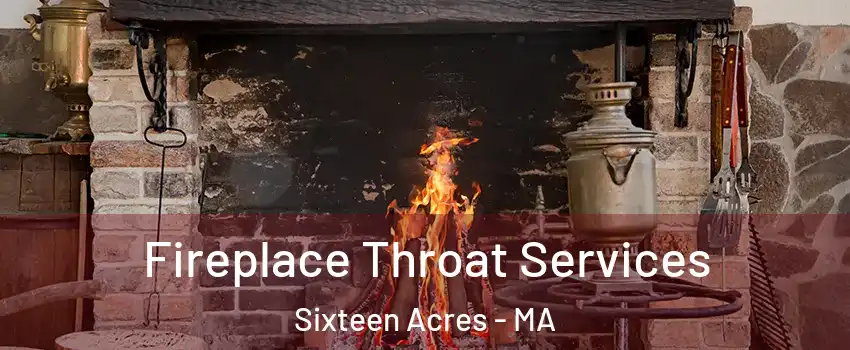 Fireplace Throat Services Sixteen Acres - MA