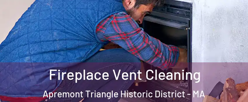 Fireplace Vent Cleaning Apremont Triangle Historic District - MA