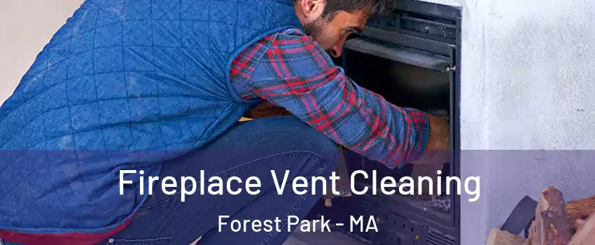 Fireplace Vent Cleaning Forest Park - MA