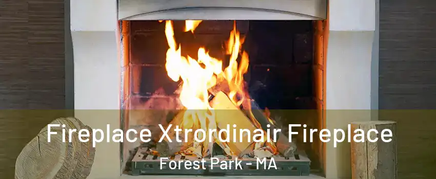 Fireplace Xtrordinair Fireplace Forest Park - MA