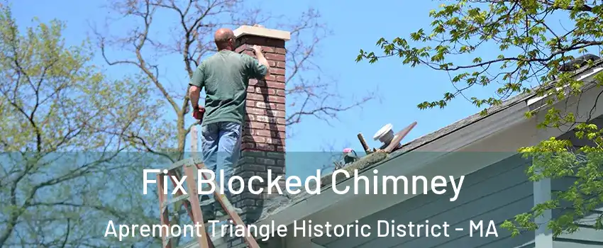 Fix Blocked Chimney Apremont Triangle Historic District - MA