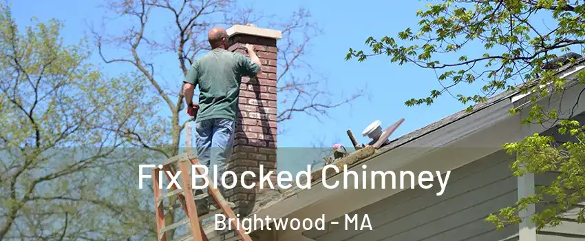 Fix Blocked Chimney Brightwood - MA