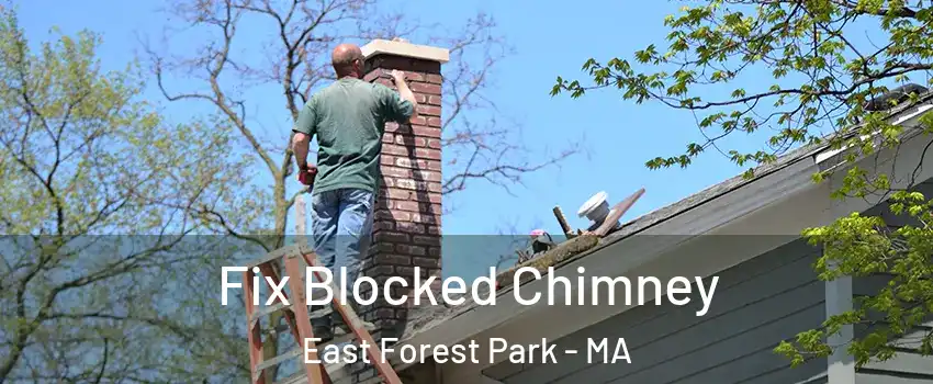 Fix Blocked Chimney East Forest Park - MA