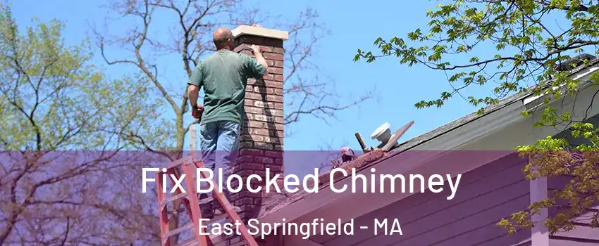 Fix Blocked Chimney East Springfield - MA