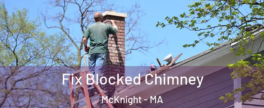 Fix Blocked Chimney McKnight - MA