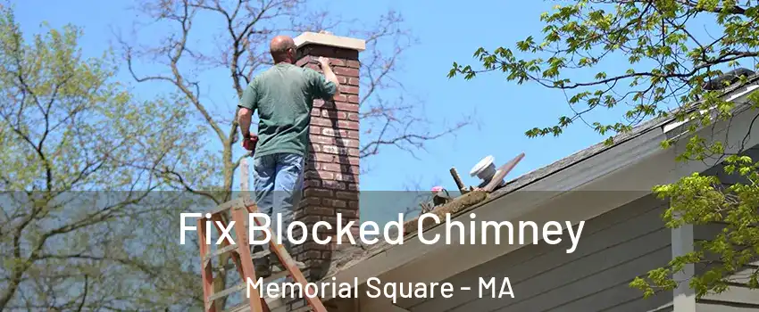 Fix Blocked Chimney Memorial Square - MA