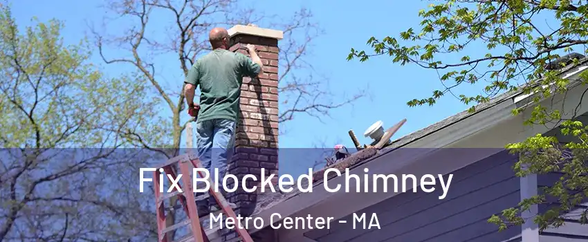 Fix Blocked Chimney Metro Center - MA