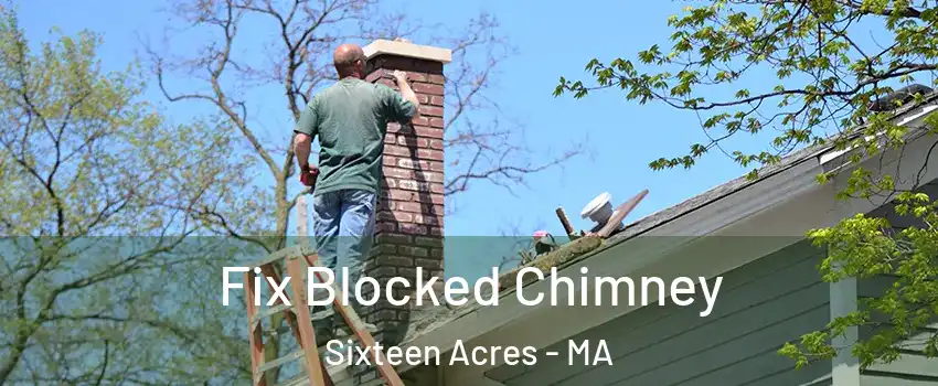 Fix Blocked Chimney Sixteen Acres - MA