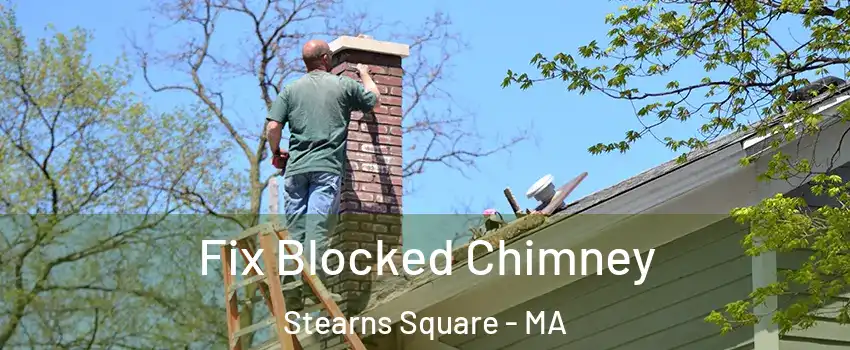 Fix Blocked Chimney Stearns Square - MA