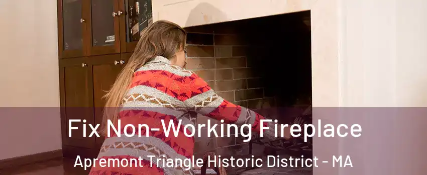 Fix Non-Working Fireplace Apremont Triangle Historic District - MA