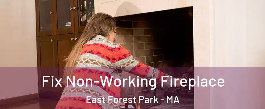 Fix Non-Working Fireplace East Forest Park - MA