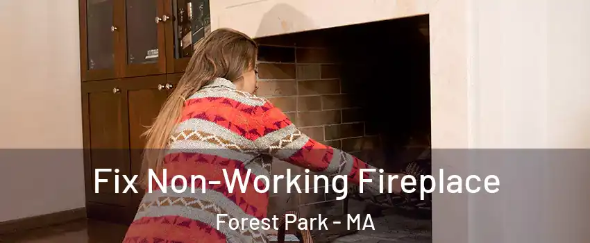 Fix Non-Working Fireplace Forest Park - MA