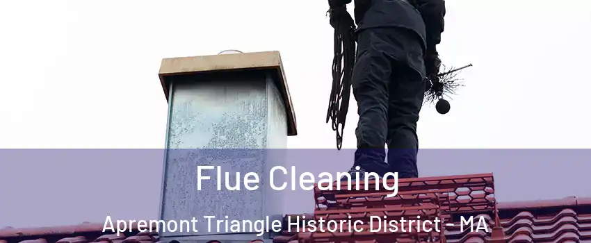 Flue Cleaning Apremont Triangle Historic District - MA