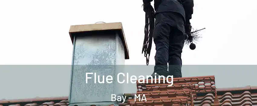 Flue Cleaning Bay - MA