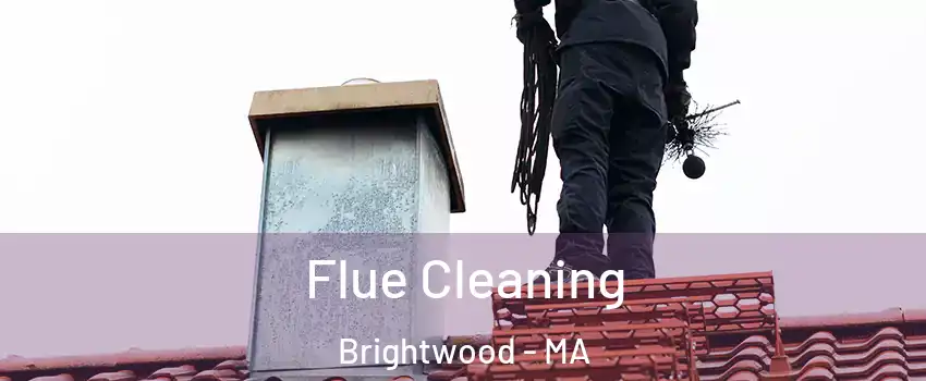 Flue Cleaning Brightwood - MA