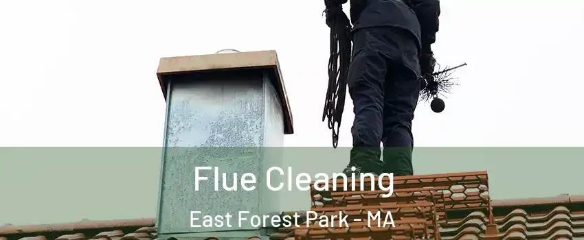 Flue Cleaning East Forest Park - MA