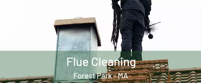 Flue Cleaning Forest Park - MA