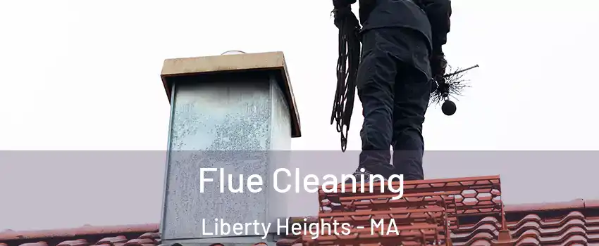 Flue Cleaning Liberty Heights - MA