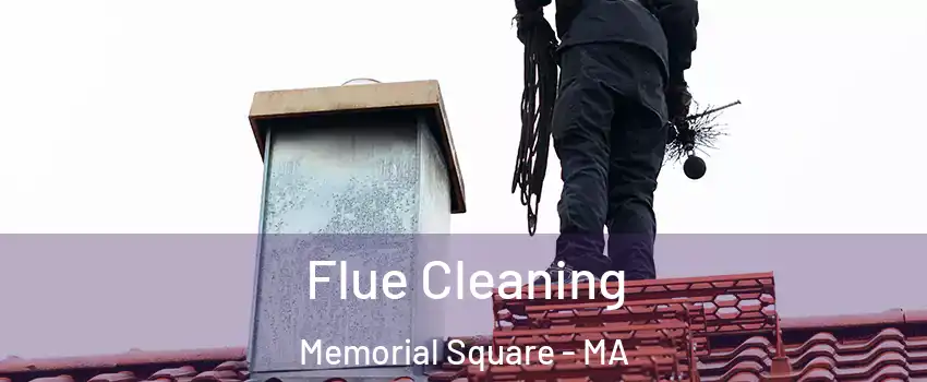 Flue Cleaning Memorial Square - MA