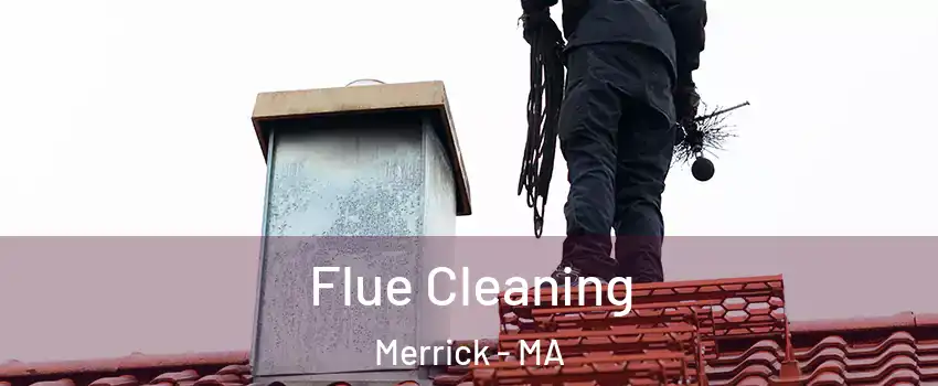 Flue Cleaning Merrick - MA