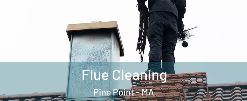 Flue Cleaning Pine Point - MA