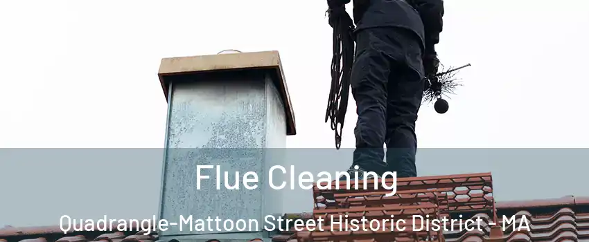 Flue Cleaning Quadrangle-Mattoon Street Historic District - MA