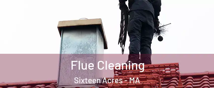 Flue Cleaning Sixteen Acres - MA