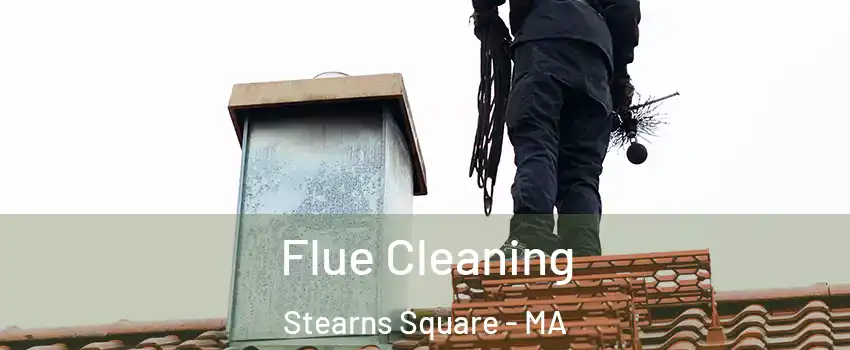 Flue Cleaning Stearns Square - MA