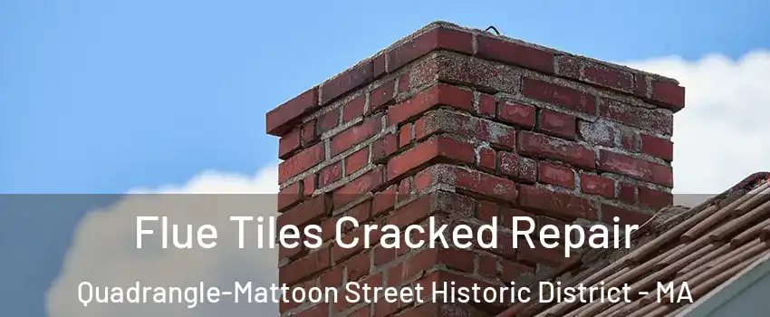 Flue Tiles Cracked Repair Quadrangle-Mattoon Street Historic District - MA