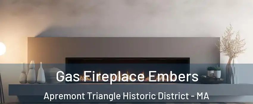 Gas Fireplace Embers Apremont Triangle Historic District - MA