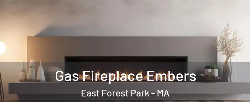 Gas Fireplace Embers East Forest Park - MA