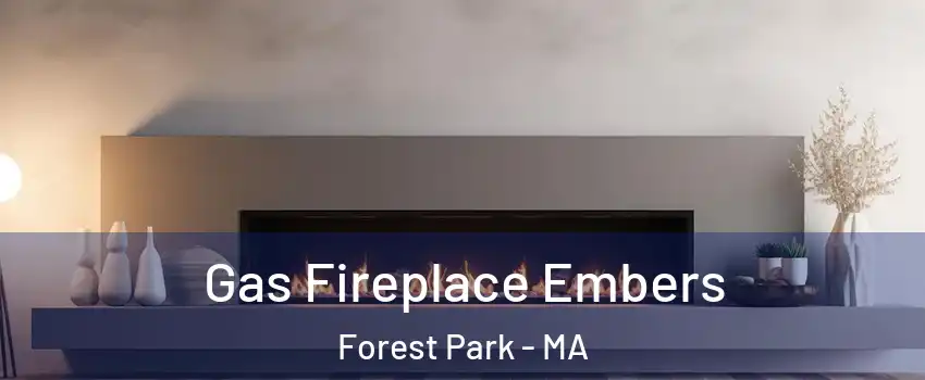 Gas Fireplace Embers Forest Park - MA