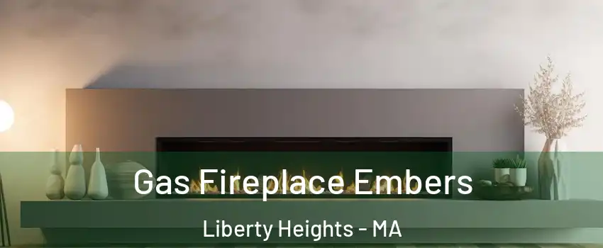 Gas Fireplace Embers Liberty Heights - MA