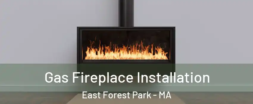 Gas Fireplace Installation East Forest Park - MA