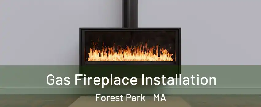 Gas Fireplace Installation Forest Park - MA