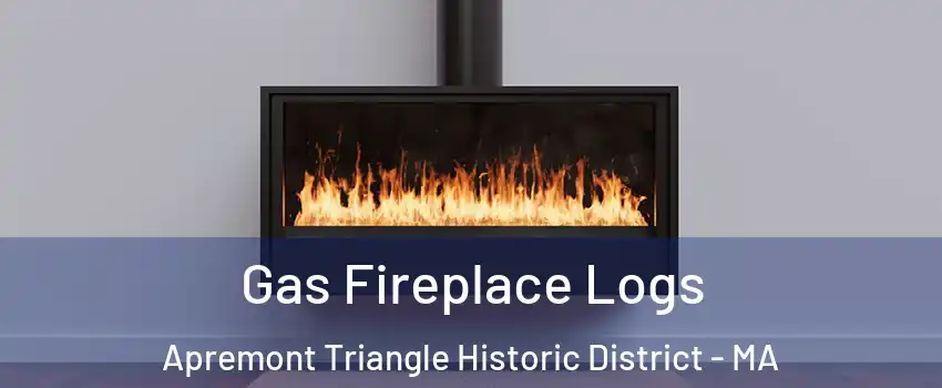 Gas Fireplace Logs Apremont Triangle Historic District - MA