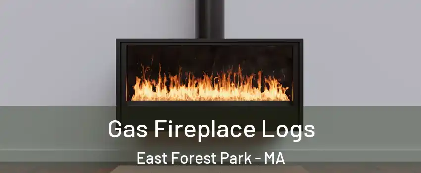 Gas Fireplace Logs East Forest Park - MA