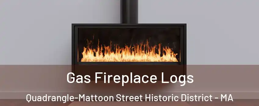 Gas Fireplace Logs Quadrangle-Mattoon Street Historic District - MA