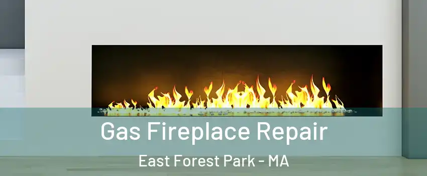 Gas Fireplace Repair East Forest Park - MA
