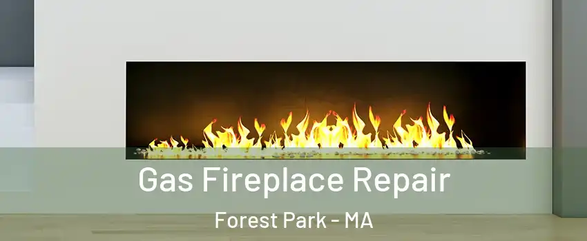 Gas Fireplace Repair Forest Park - MA