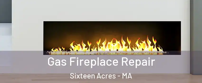 Gas Fireplace Repair Sixteen Acres - MA