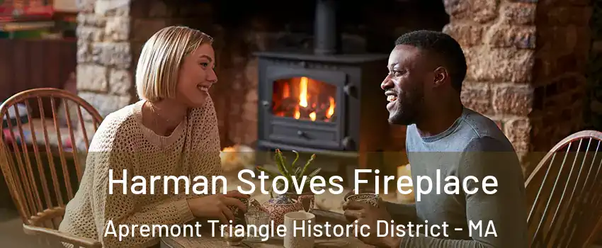 Harman Stoves Fireplace Apremont Triangle Historic District - MA