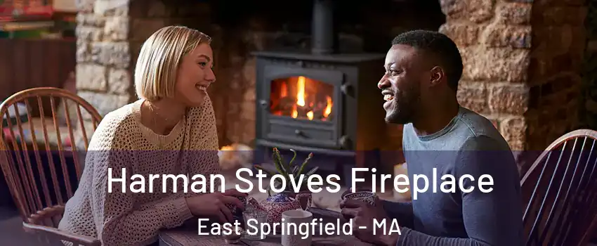 Harman Stoves Fireplace East Springfield - MA