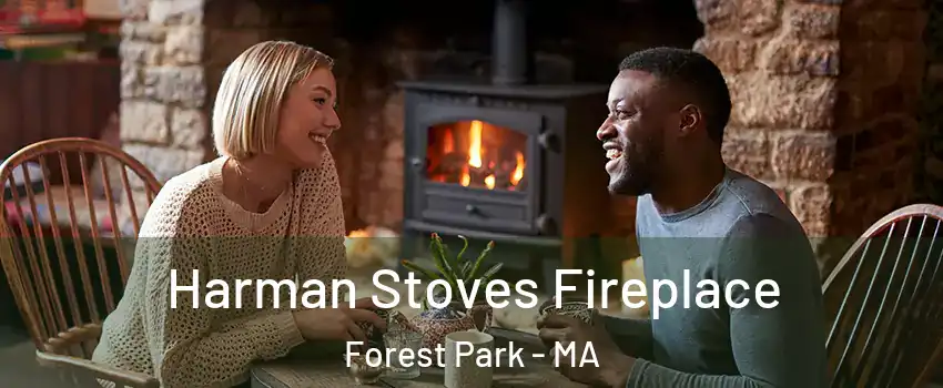 Harman Stoves Fireplace Forest Park - MA