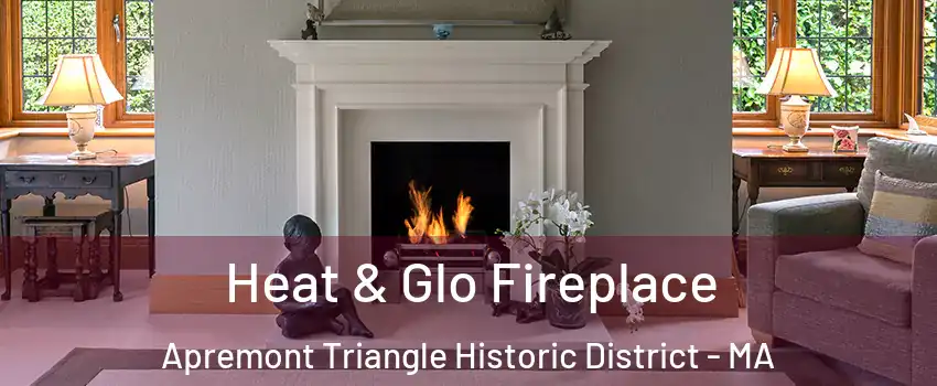 Heat & Glo Fireplace Apremont Triangle Historic District - MA