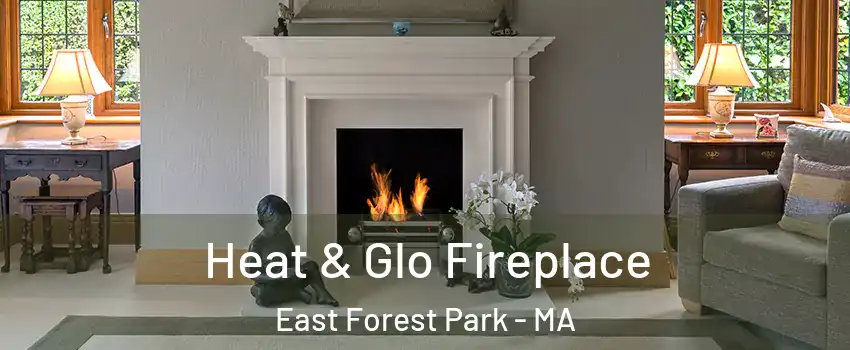 Heat & Glo Fireplace East Forest Park - MA